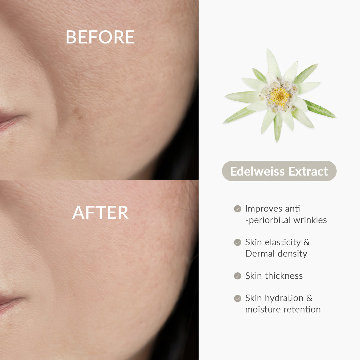 Rapid Firm Sculpting Cream